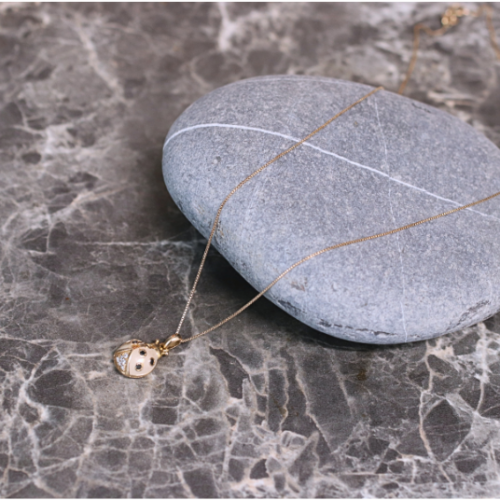 Coccinella Pink on the stone
