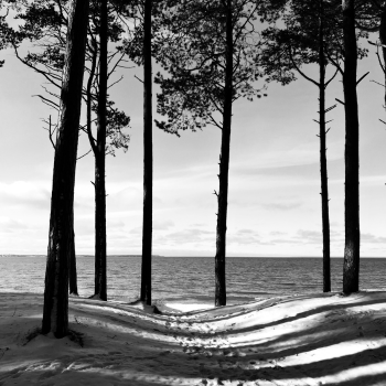 Tallinn Snowed Beach in black and white