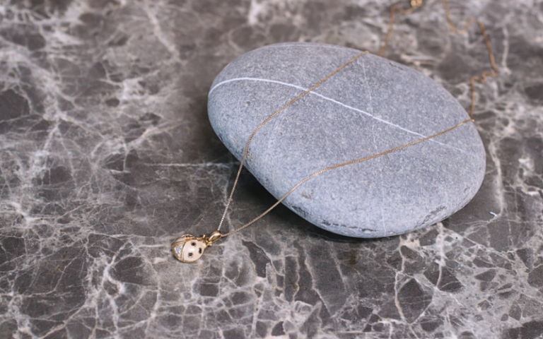 Coccinella Pink on the stone